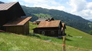 Bild Juchs – Emser Maiensässe