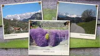 Bild Fadärastein (Oberhalb Malans)