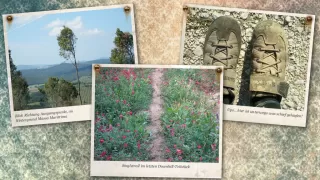 Bild Lago dell’Accesa, Massa Marittima (Toscana)
