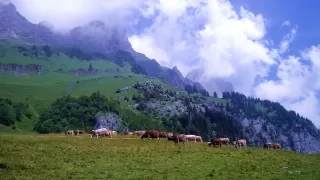 Bild Churfirsten - von Walenstadt nach Weesen