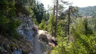 Bild Conn Aussichtsplattform