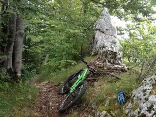 Bild Brunnersberg-Weissenstein