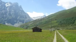 Themenbild Savognin Capricorn (655)