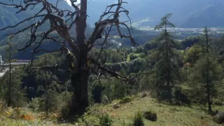 Themenbild Benis Boden