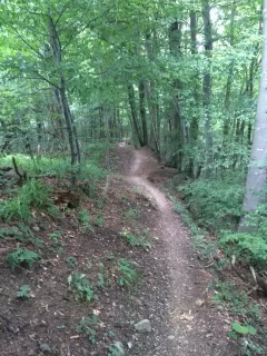 Themenbild Albishorn Tour