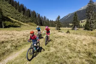 Themenbild Alp Garfiun 331