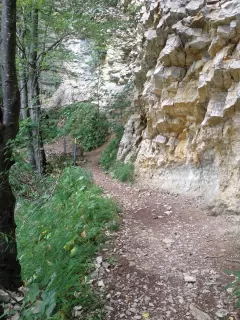 Themenbild Brunnersberg-Weissenstein