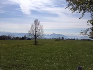 Themenbild Seetaler-Seen ab Sursee