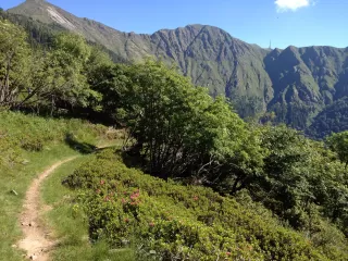 Themenbild Mt.Tamaro - Mt. Bar Enduro-Marathon