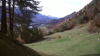 Themenbild Felsberg - Tamins