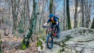 Arbostora Trails Bild Arbostora Trails