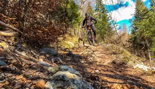 Bild Muris Halda Trail